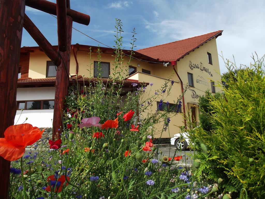 Pensiunea Casa Zmeilor Dragus Exteriör bild